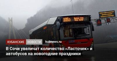 В Сочи увеличат количество «Ласточек» и автобусов на новогодние праздники - kubnews.ru - Сочи - Краснодарский край - Сочи