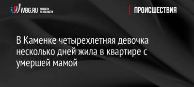 В Каменке четырехлетняя девочка несколько дней жила в квартире с умершей мамой - ivbg.ru - Украина - Ленинградская обл. - р-н Выборгский - Ленобласть