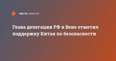 Константин Гаврилов - Глава делегации РФ в Вене отметил поддержку Китая по безопасности - ren.tv - Россия - Китай - США - Вена