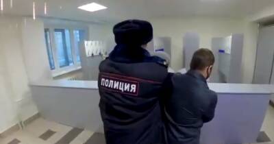 Зоозащитники набросились на мучителей кота Кузи после суда в Северодвинске - news.vse42.ru - Северодвинск