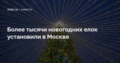 Петр Бирюков - Более тысячи новогодних елок установили в Москве - mos.ru - Москва