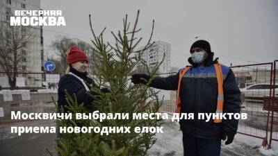 Москвичи выбрали места для пунктов приема новогодних елок - vm.ru - Москва - округ Южный