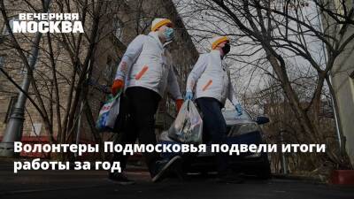 Волонтеры Подмосковья подвели итоги работы за год - vm.ru - Московская обл. - городское поселение Солнечногорск