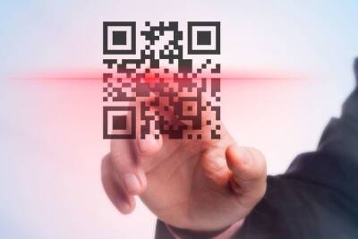 Только 14 % петербуржцев одобрили введение QR-кодов - spb.mk.ru - Россия - Санкт-Петербург - окр.Сзфо