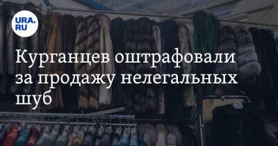Курганцев оштрафовали за продажу нелегальных шуб - ura.news - Курганская обл.
