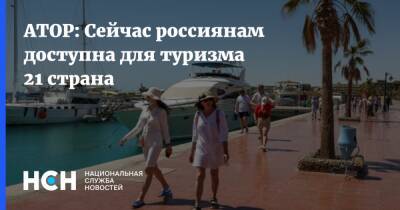 Майя Ломидзе - АТОР: Сейчас россиянам доступна для туризма 21 страна - nsn.fm - Россия