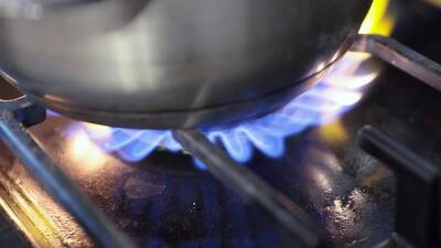 Цена газа в Европе подскочила до $1800 за тысячу кубометров - iz.ru - Израиль - Германия - Польша