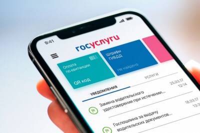 Михаил Мишустин - Кабмин продлил прием обращений граждан в госорганы на госуслугах - aif.ru - Россия