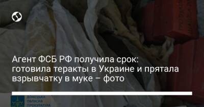 Агент ФСБ РФ получила срок: готовила теракты в Украине и прятала взрывчатку в муке – фото - liga.net - Россия - Украина - Донецк - Краматорск
