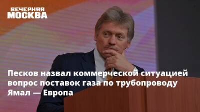 Дмитрий Песков - Песков назвал коммерческой ситуацией вопрос поставок газа по трубопроводу Ямал — Европа - vm.ru - Россия - Германия - Польша