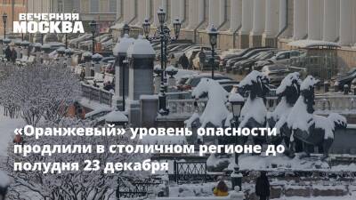 Мороз - «Оранжевый» уровень опасности продлили в столичном регионе до полудня 23 декабря - vm.ru - Москва - Россия - Московская обл.