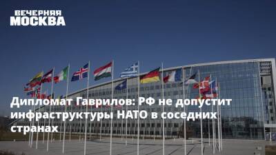 Константин Гаврилов - Дипломат Гаврилов: РФ не допустит инфраструктуры НАТО в соседних странах - vm.ru - Австрия - Россия - США - Украина - Молдавия - Грузия