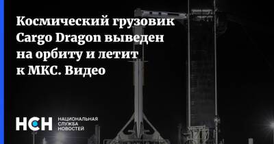 Космический грузовик Cargo Dragon выведен на орбиту и летит к МКС - nsn.fm - США - шт.Флорида