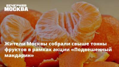Алексей Немерюк - Жители Москвы собрали свыше тонны фруктов в рамках акции «Подвешенный мандарин» - vm.ru - Москва