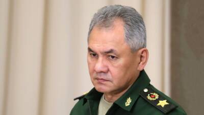 Сергей Шойгу - Шойгу заявил о подготовке американскими ЧВК провокаций с химикатами в Донбассе - russian.rt.com - Россия - США - Украина - населенный пункт Авдеевка - Донецкая обл.