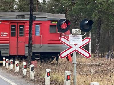 РЖД оштрафовали на 390 тысяч рублей за нарушение правил пересечения внешних границ - rosbalt.ru - Россия - Тюменская обл. - Курганская обл.