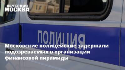 Ирина Волк - Московские полицейские задержали подозреваемых в организации финансовой пирамиды - vm.ru - Москва - Россия - Крым - Новосибирская обл. - Москва - республика Карелия
