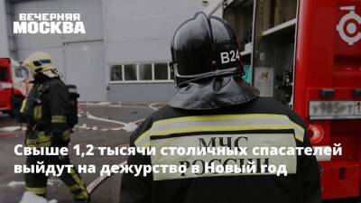 Андрей Иванов - Свыше 1,2 тысячи столичных спасателей выйдут на дежурство в Новый год - vm.ru - Москва - Москва