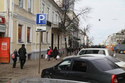 В Нижегородской области многодетные могут бесплатно парковаться на платных парковках - nn.mk.ru - Россия - Нижегородская обл. - Нижний Новгород