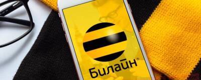 «Билайн» представил новый инструмент для маркетинговых исследований - runews24.ru