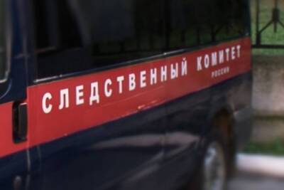 Двое жителей Дзержинска убили знакомого из-за оскорблений - nn.mk.ru - Россия - Дзержинск - Нижегородская обл.