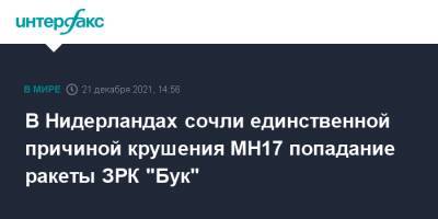В Нидерландах сочли единственной причиной крушения MH17 попадание ракеты ЗРК "Бук" - interfax.ru - Москва - Украина - Голландия