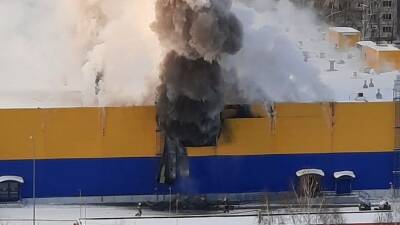 Названа причина пожара в томском гипермаркете «Лента» - 5-tv.ru - Томск - Торговля