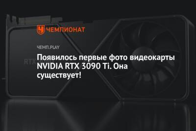 Появились первые фото видеокарты NVIDIA RTX 3090 Ti. Она существует! - championat.com