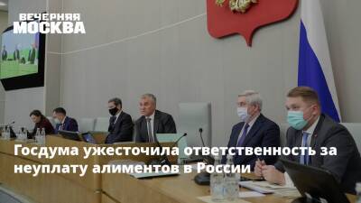 Вячеслав Володин - Госдума ужесточила ответственность за неуплату алиментов в России - vm.ru - Россия