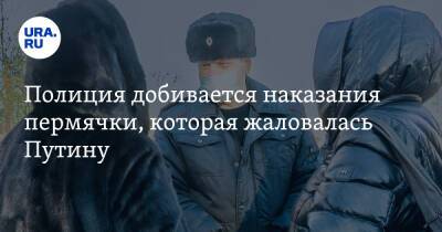 Владимир Путин - Полиция добивается наказания пермячки, которая жаловалась Путину - ura.news - Россия - Челябинск - Пермь