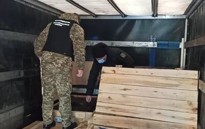 В Украину пытались ввезти санкционные товары из РФ - korrespondent.net - Россия - Украина - Белоруссия