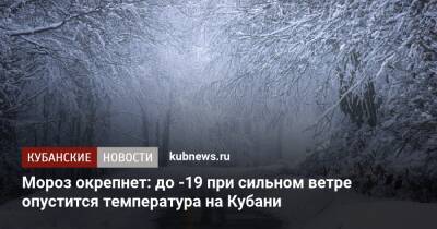 Мороз окрепнет: до -19 при сильном ветре опустится температура на Кубани - kubnews.ru - Краснодарский край
