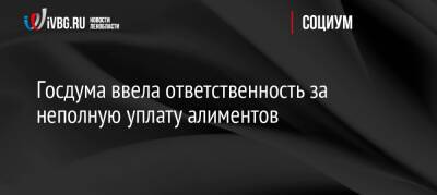 Госдума ввела ответственность за неполную уплату алиментов - ivbg.ru - Россия - Украина