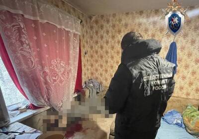 Убийством закончилась ссора двух соседей на улице Заломова в Нижегородском районе - vgoroden.ru - Россия - Дзержинск - Нижний Новгород - Следственный Комитет
