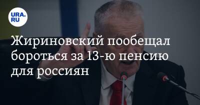 Владимир Жириновский - Ярослав Нилов - Жириновский пообещал бороться за 13-ю пенсию для россиян - ura.news - Россия
