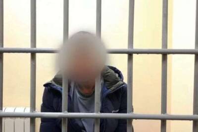 Задержанный в Туле 34-летний рязанец признался в обмане 10-ти пенсионерок - tula.mk.ru - Россия - Тула - Рязанская обл.