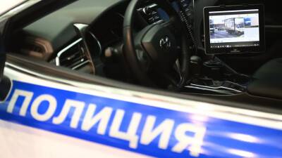 Спасшие от избиения у метро в Москве женщину оказались уроженцами Чечни - russian.rt.com - Москва - Россия - Таджикистан - респ. Чечня