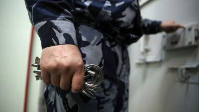ГД приняла в I чтении законопроект о пожизненном заключении для педофилов-рецидивистов - iz.ru - Израиль