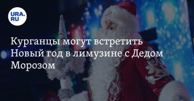 Курганцы могут встретить Новый год в лимузине с Дедом Морозом. Скрин - ura.news