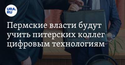 Александр Беглов - Дмитрий Махонин - Пермские власти будут учить питерских коллег цифровым технологиям - ura.news - Санкт-Петербург - Пермский край