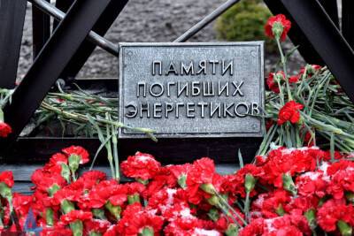 В Донецке почтили память энергетиков - mk.ru - ДНР - Донецк - Алчевск