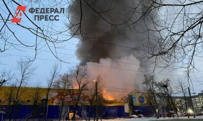 Установлена личность пиромана, совершившего поджог «Ленты» в Томске - fedpress.ru - Томск
