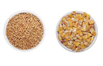 Аргентина - Аргентина вводит квоты на экспорт кукурузы и пшеницы - agroportal.ua - Украина - Аргентина
