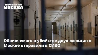 Людмила Нефедова - Обвиняемого в убийстве двух женщин в Москве отправили в СИЗО - vm.ru - Москва