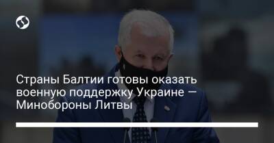 Страны Балтии готовы оказать военную поддержку Украине — Минобороны Литвы - liga.net - Россия - Украина - Литва