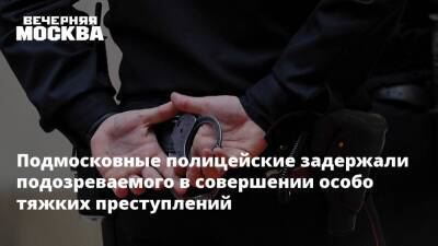 Татьяна Петрова - Подмосковные полицейские задержали подозреваемого в совершении особо тяжких преступлений - vm.ru - Россия - Московская обл. - Брянская обл.