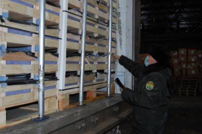 В Смоленской области задержали 80 тонн «санкционных» груш - rabochy-put.ru - Россия - Бельгия - Смоленская обл.