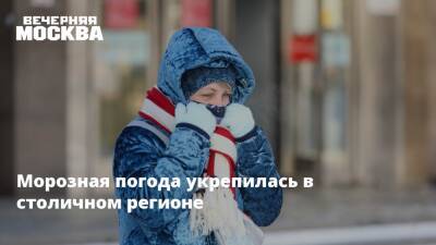 Евгений Тишковец - Мороз - Морозная погода укрепилась в столичном регионе - vm.ru - Москва - Московская обл. - Москва