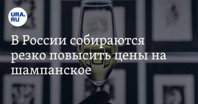 Антон Силуанов - В России собираются резко повысить цены на шампанское - ura.news - Россия