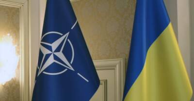 На Украине заявили, что курс страны в НАТО может привести к катастрофе - ren.tv - Россия - США - Украина
